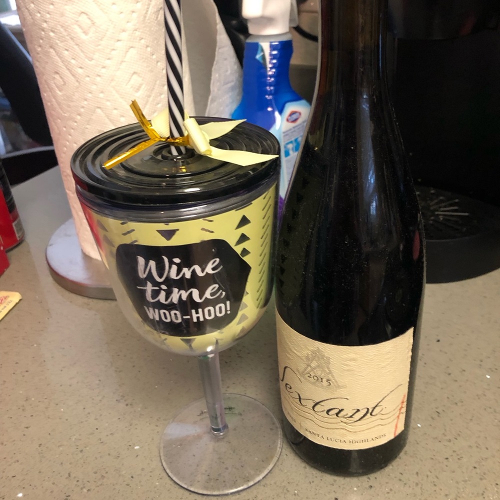 Amazing cool wine plastic glass that says “wine time woo-boo!